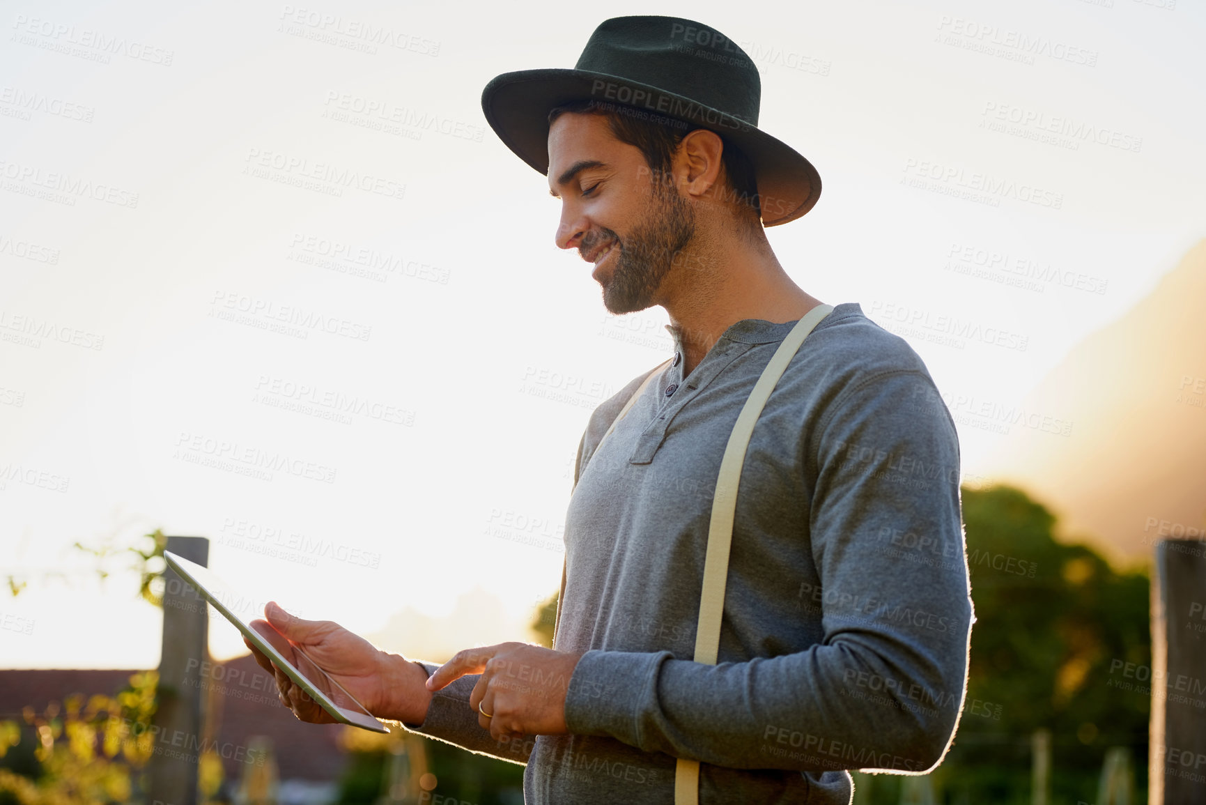 Buy stock photo Farmer, man and tablet for outdoor farming, growth and field with plants, vegetables or fruits for food business online. Gardener reading on digital tech for agriculture crops research or management