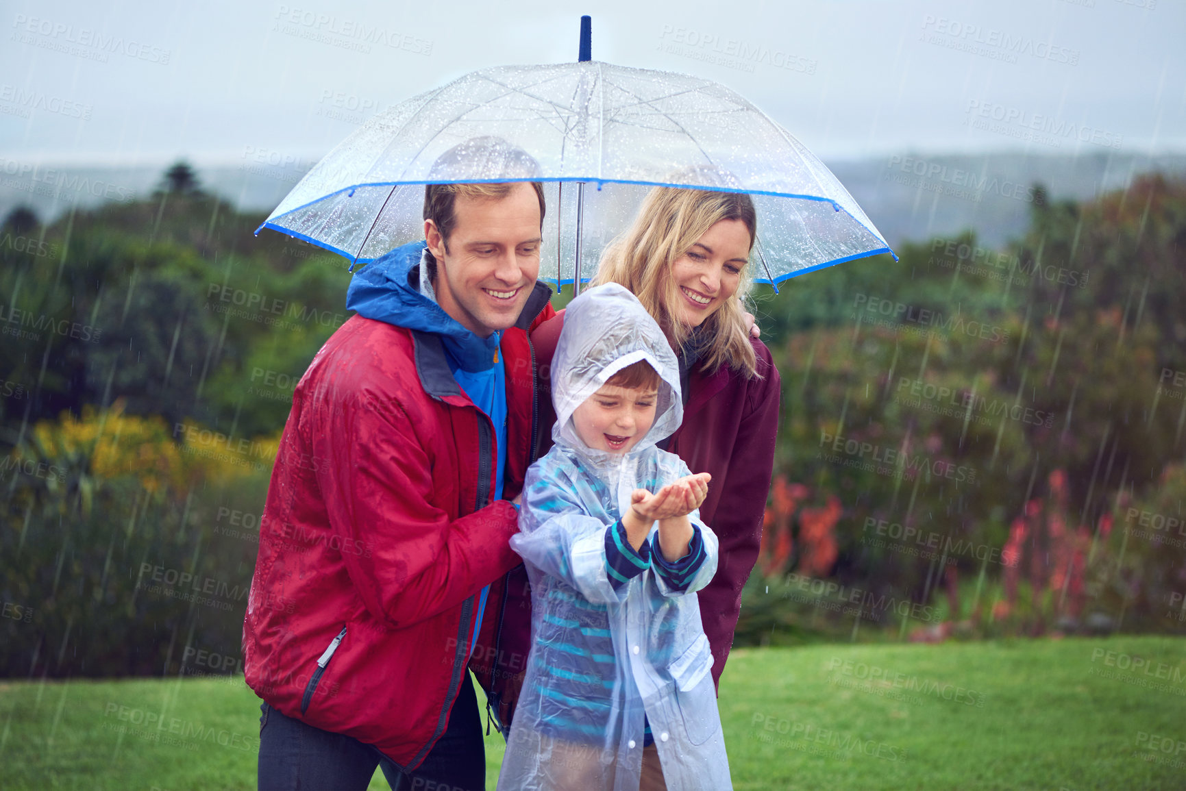 Buy stock photo Rain, umbrella and a happy family outdoor in nature for fun, happiness and quality time. Man, woman and excited child together with hands to catch water drops while learning, playing or development