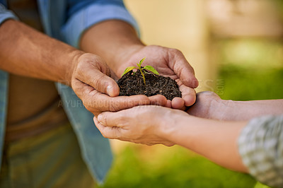 Buy stock photo Plants, hands and teamwork of people for eco friendly growth, sustainability support and agriculture. Sapling soil, farmer with partner palm for sustainable gardening, nonprofit or earth day closeup