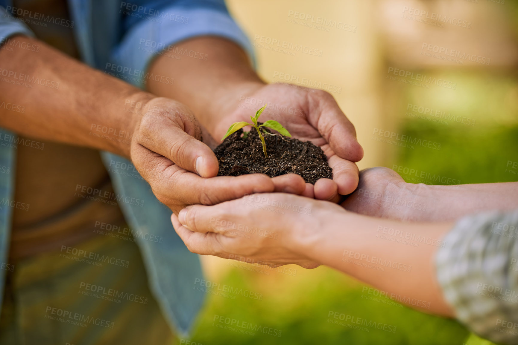 Buy stock photo Plants, hands and teamwork of people for eco friendly growth, sustainability support and agriculture. Sapling soil, farmer with partner palm for sustainable gardening, nonprofit or earth day closeup