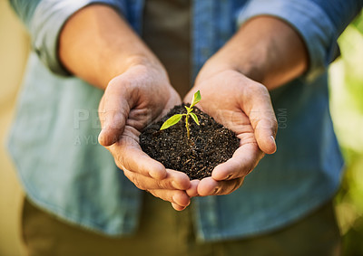 Buy stock photo Plants, hands and farmer or man with eco friendly growth, sustainability and green, agriculture or small business. Sapling soil, person palm and sustainable gardening, nonprofit or earth day project