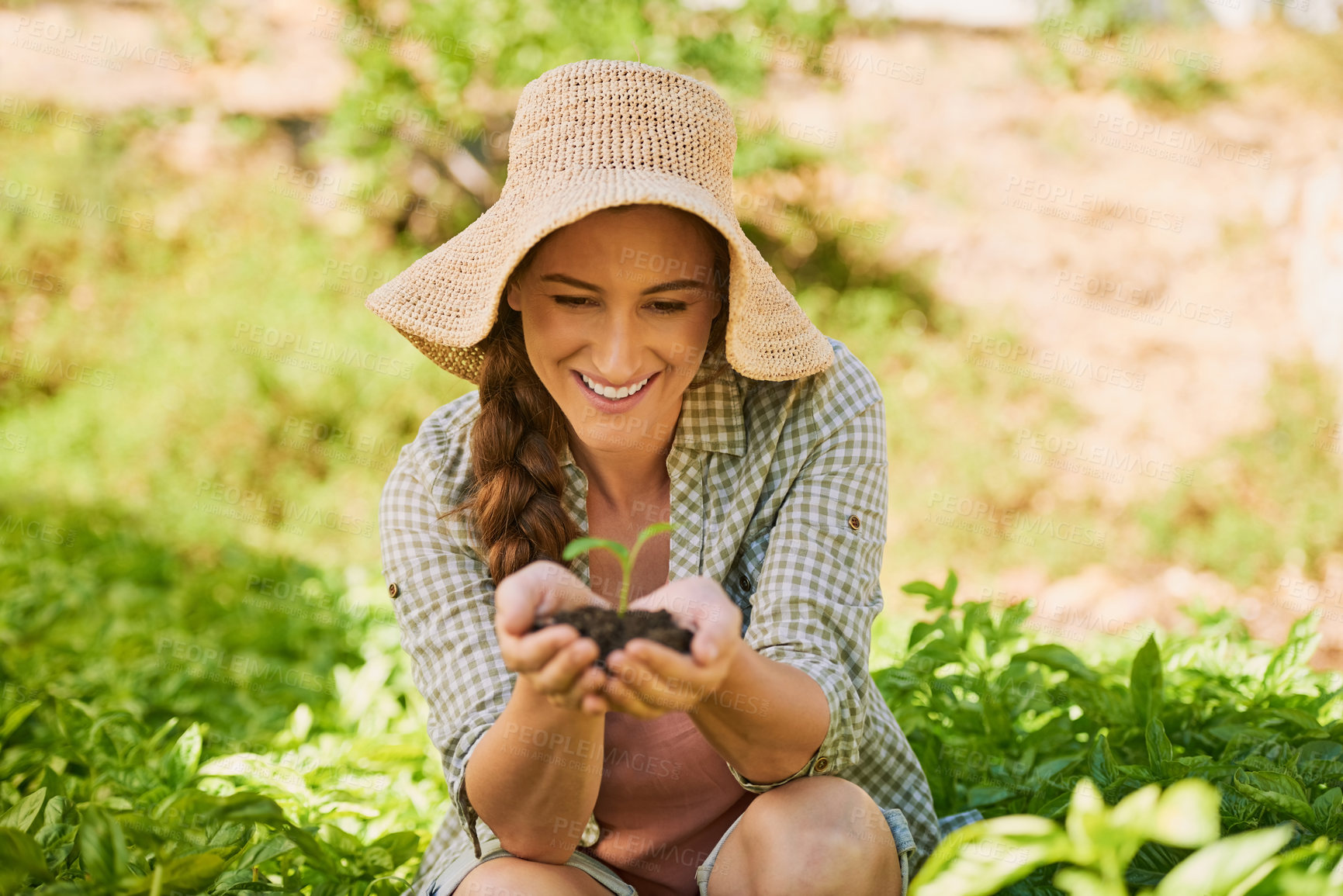 Buy stock photo Farming, happy and woman with seedling in nature for eco friendly, horticulture and future growth. Organic, environment and farmer with sapling in soil for sustainable, gardening or plant germination