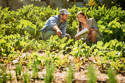 Buy stock photo Shot of two happy young farmers working together in the fields on their farm