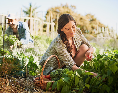 Buy stock photo Shot of two happy young farmers harvesting herbs and vegetables together on their farm