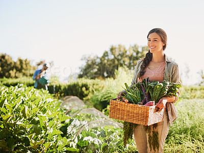 Buy stock photo Shot of a happy young farmer harvesting herbs and vegetables in a basket on her farm