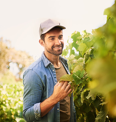 Buy stock photo Shot of a happy young farmer examining the crops on his farm