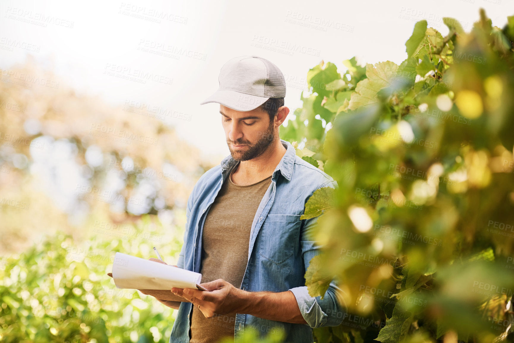 Buy stock photo Man, farmer and farm checklist for crops, writing notes and review produce quality or development. Male person, agriculture and clipboard for harvest report, ecology production and plan for growth