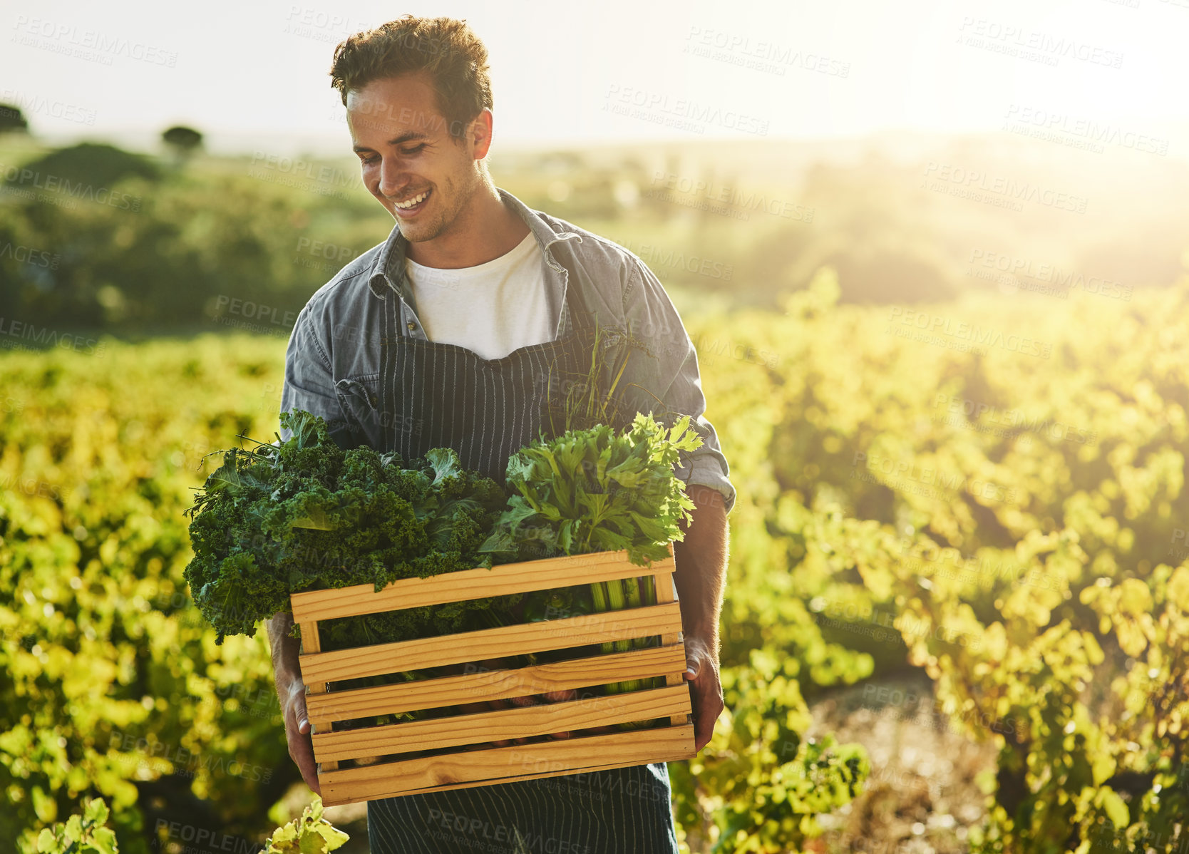 Buy stock photo Shot of a young man holding a crate full of freshly picked produce on a farm