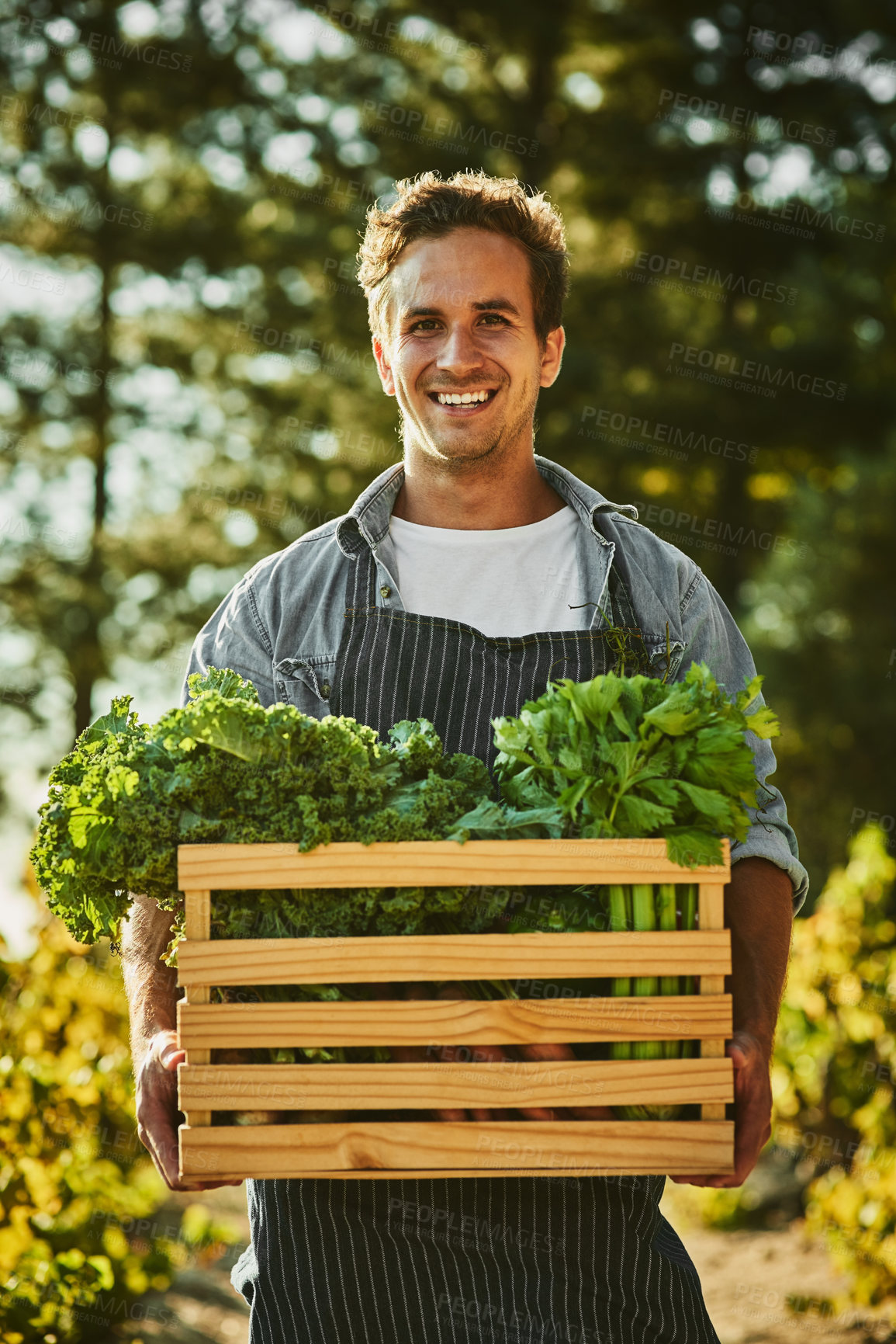 Buy stock photo Shot of a young man holding a crate full of freshly picked produce on a farm