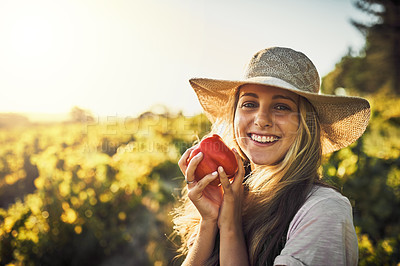 Buy stock photo Shot of a young woman holding a freshly picked red pepper on a farm