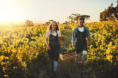 Buy stock photo Shot of a young man and woman holding a crate full of freshly picked produce on a farm