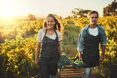 Buy stock photo Shot of a young man and woman holding a crate full of freshly picked produce on a farm