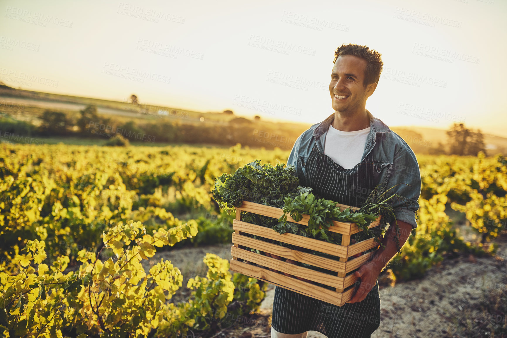 Buy stock photo Shot of a young man holding a crate full of freshly picked produce on a farm