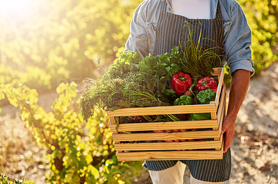 Buy stock photo Cropped shot of a man holding a crate full of freshly picked produce on a farm