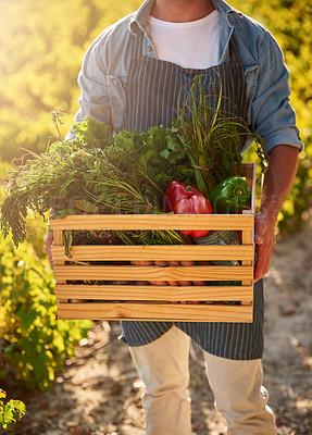 Buy stock photo Cropped shot of a man holding a crate full of freshly picked produce on a farm