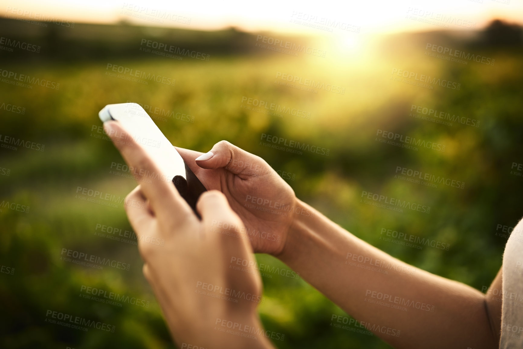 Buy stock photo Unrecognizable shot of hands holding a cellphone and taking a picture with vegetation in the background