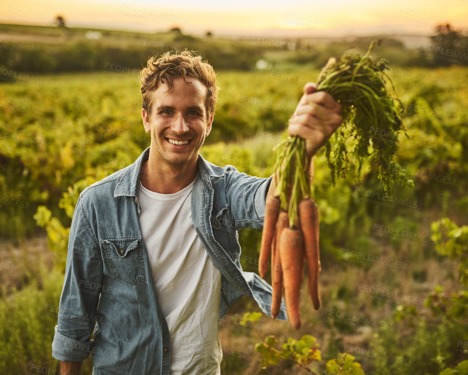 Buy stock photo Portrait, farming and man with carrots in nature for agriculture, sustainable and agro harvest growth. Environment, field and male person with organic, fresh and nutrition vegetable in countryside.