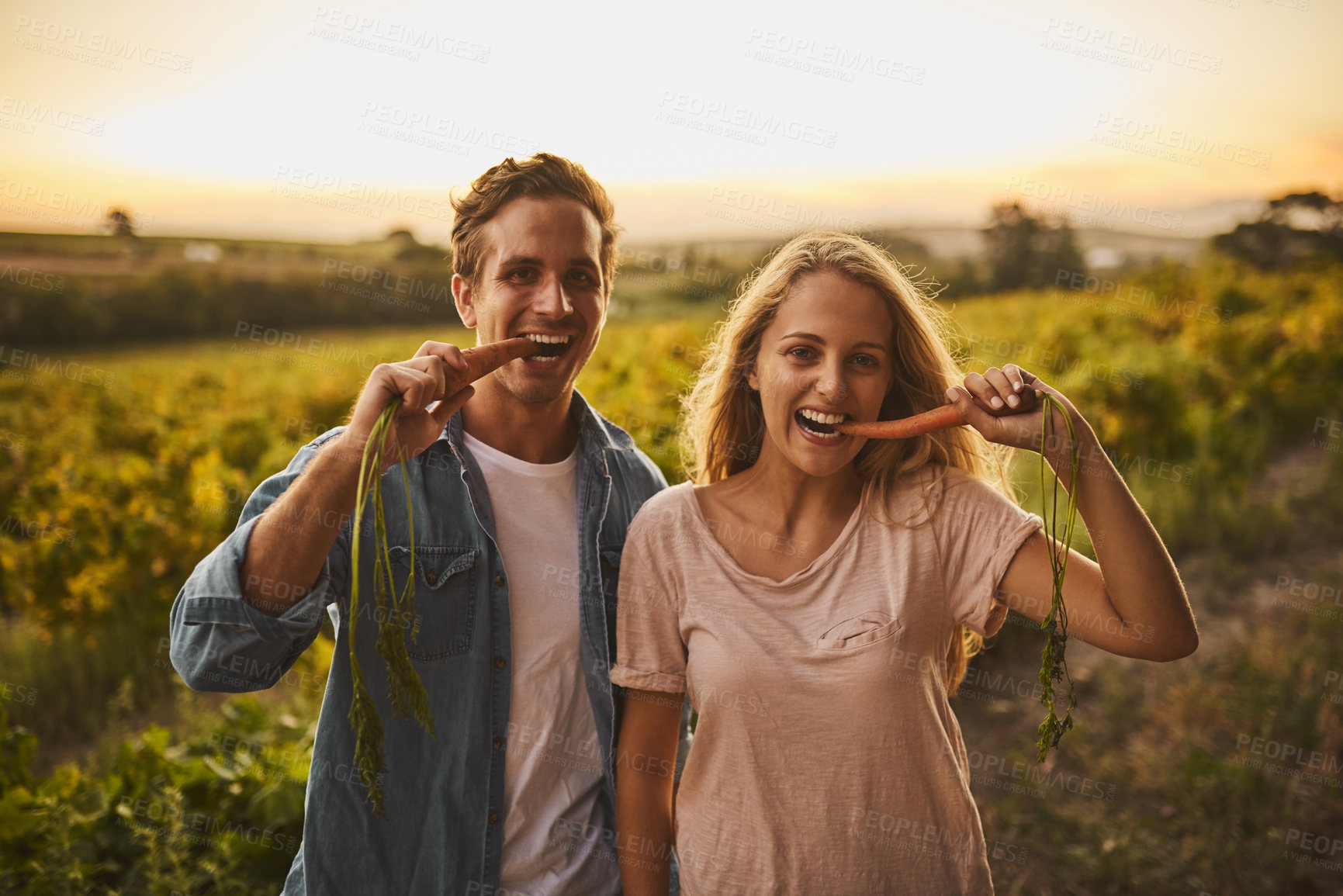 Buy stock photo Shot of a young couple each holding up a carrot and taking a bite with their crops in the background