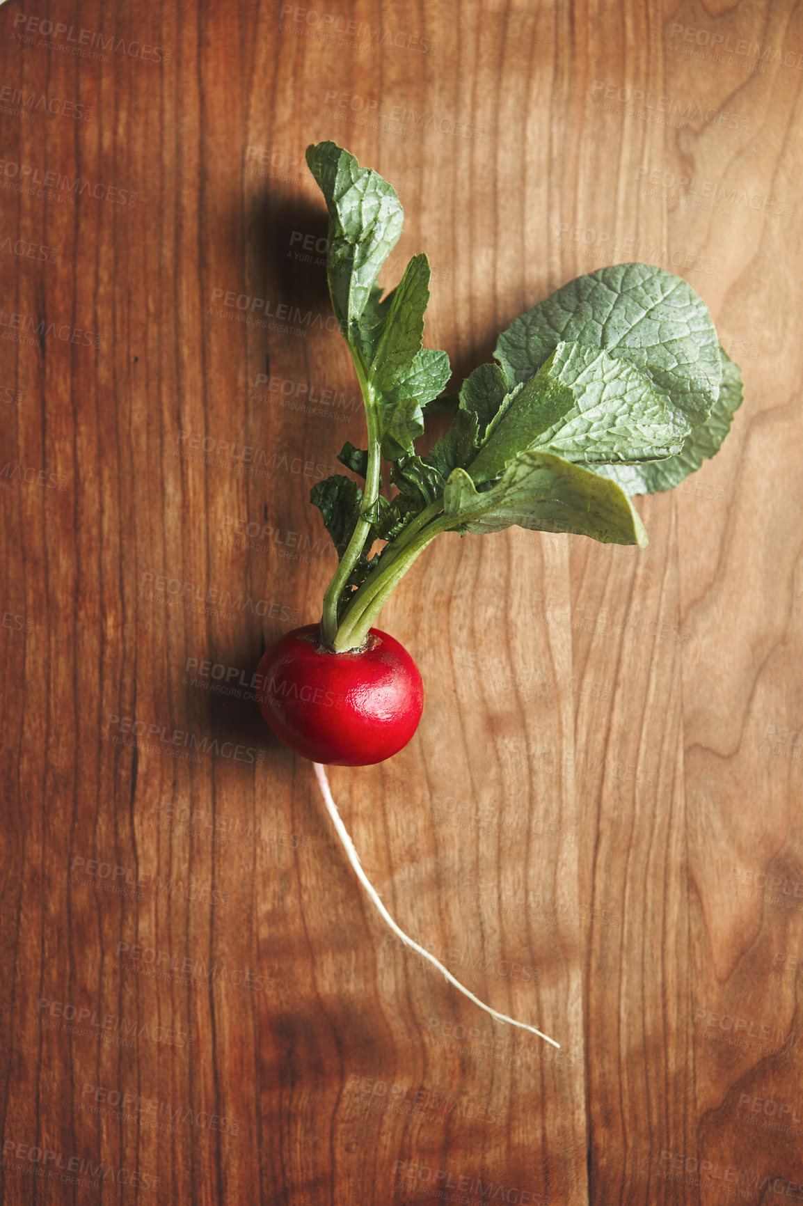 Buy stock photo High angle shot of fresh radish on a wooden surface