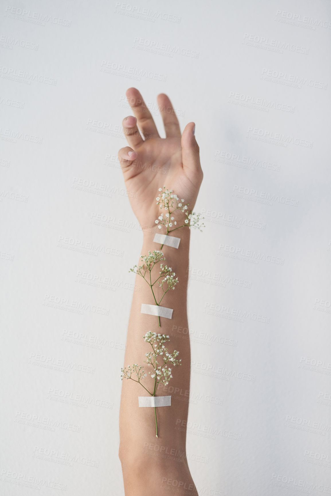 Buy stock photo Cropped shot of plants taped to an unrecognizable person's raised arm