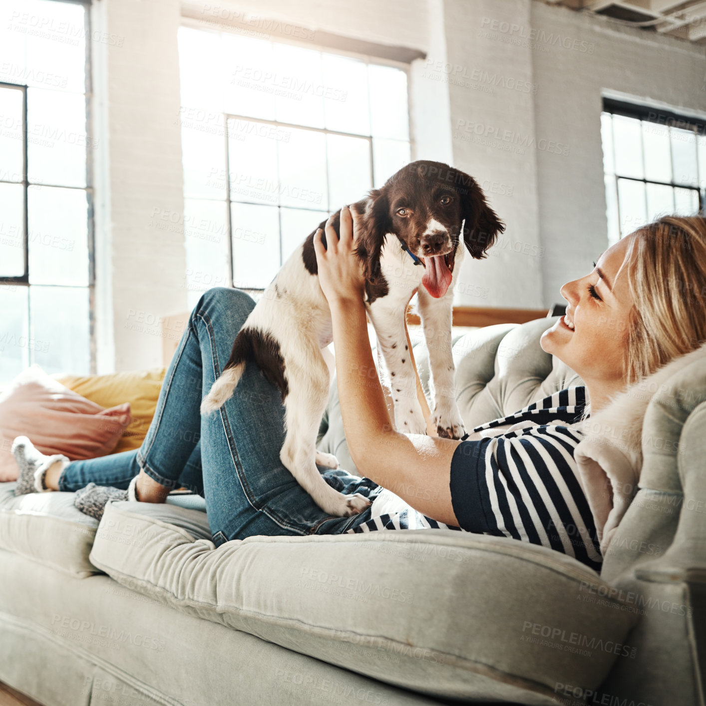 Buy stock photo Dog, playing or happy woman in home to relax on living room sofa in house, lounge or apartment. English spaniel puppy, lifting or person with love, wellness or support for bonding with fun pet animal