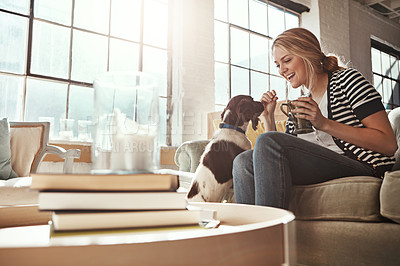 Buy stock photo Dog, coffee or happy woman in house to relax on living room sofa in home, lounge or apartment. English spaniel, drinking tea or person with love, wellness or support for bonding with fun pet animal