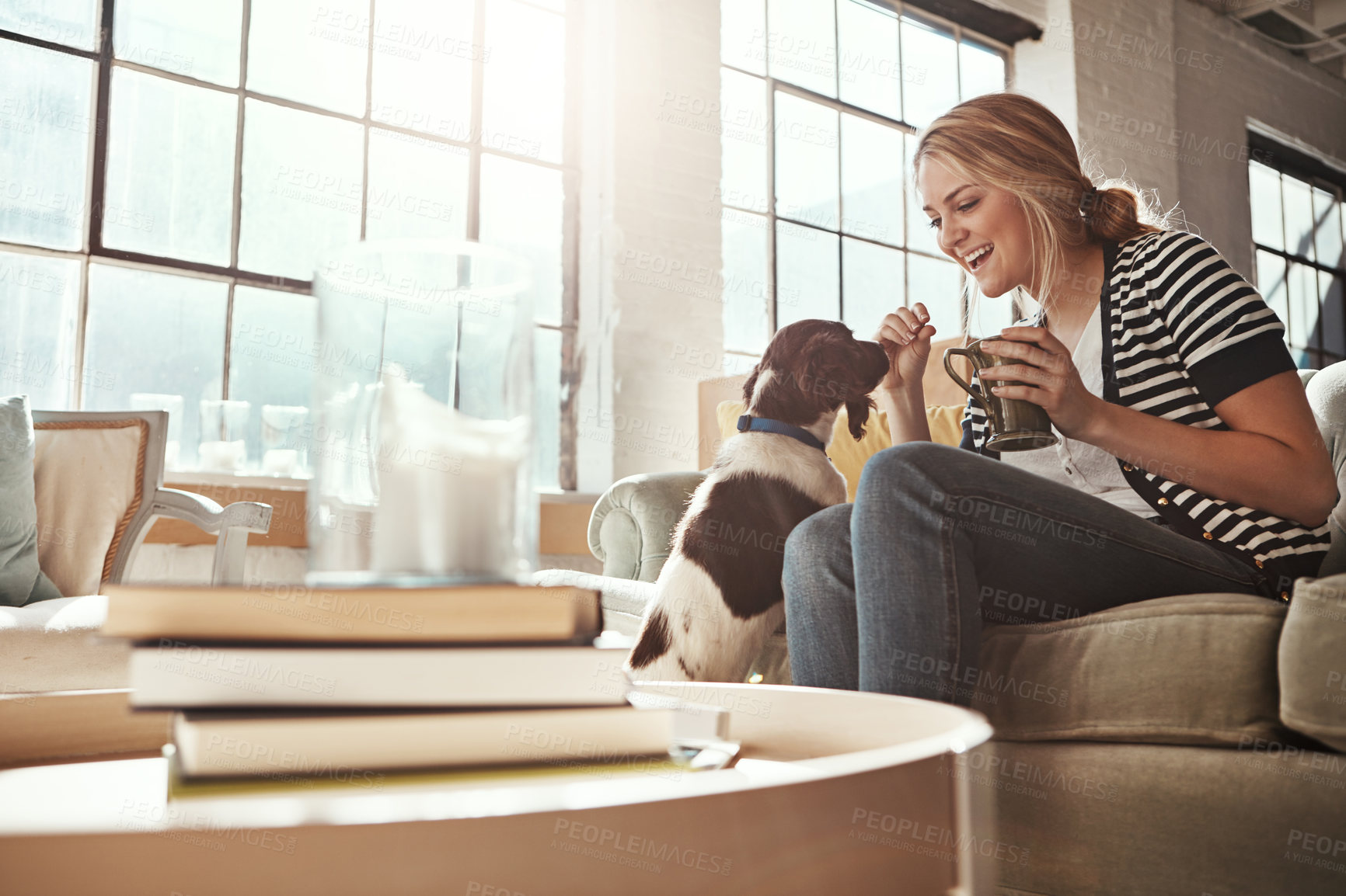 Buy stock photo Dog, coffee or happy woman in house to relax on living room sofa in home, lounge or apartment. English spaniel, drinking tea or person with love, wellness or support for bonding with fun pet animal