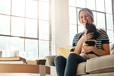 Buy stock photo Dog, playing or happy woman in home laughing to relax on living room sofa in house or apartment. English spaniel puppy, hug or girl with love, wellness or support for bonding with funny pet animal