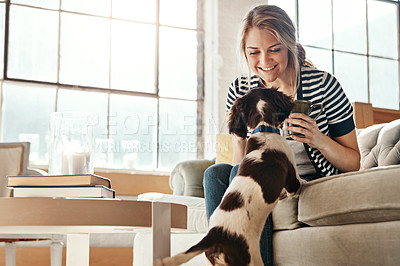 Buy stock photo Dog, coffee or happy woman in living room to relax on sofa in home, house or lounge for training. English spaniel, drinking tea or girl with love, wellness or support for bonding with fun pet animal