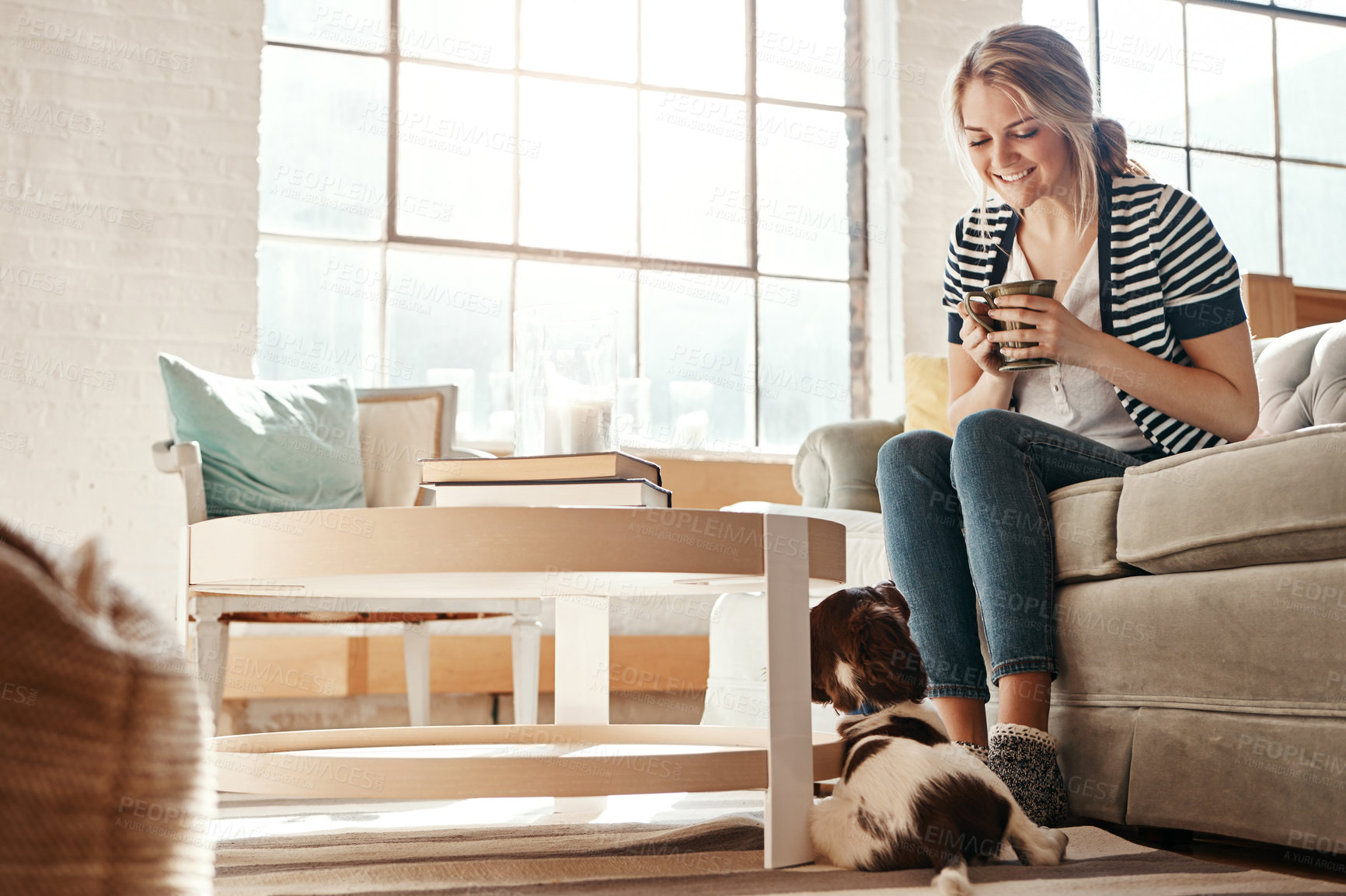 Buy stock photo Dog, coffee or woman in home for training on sofa in house living room or lounge to relax or learn. English spaniel, drinking tea or girl with love, wellness or support for bonding with pet animal