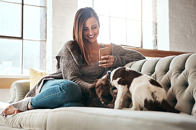 Buy stock photo Phone, relax and woman with dog on sofa at home for social media, network and communication. Happy, female person and tech with pet in living room for bonding, connectivity and reading text message