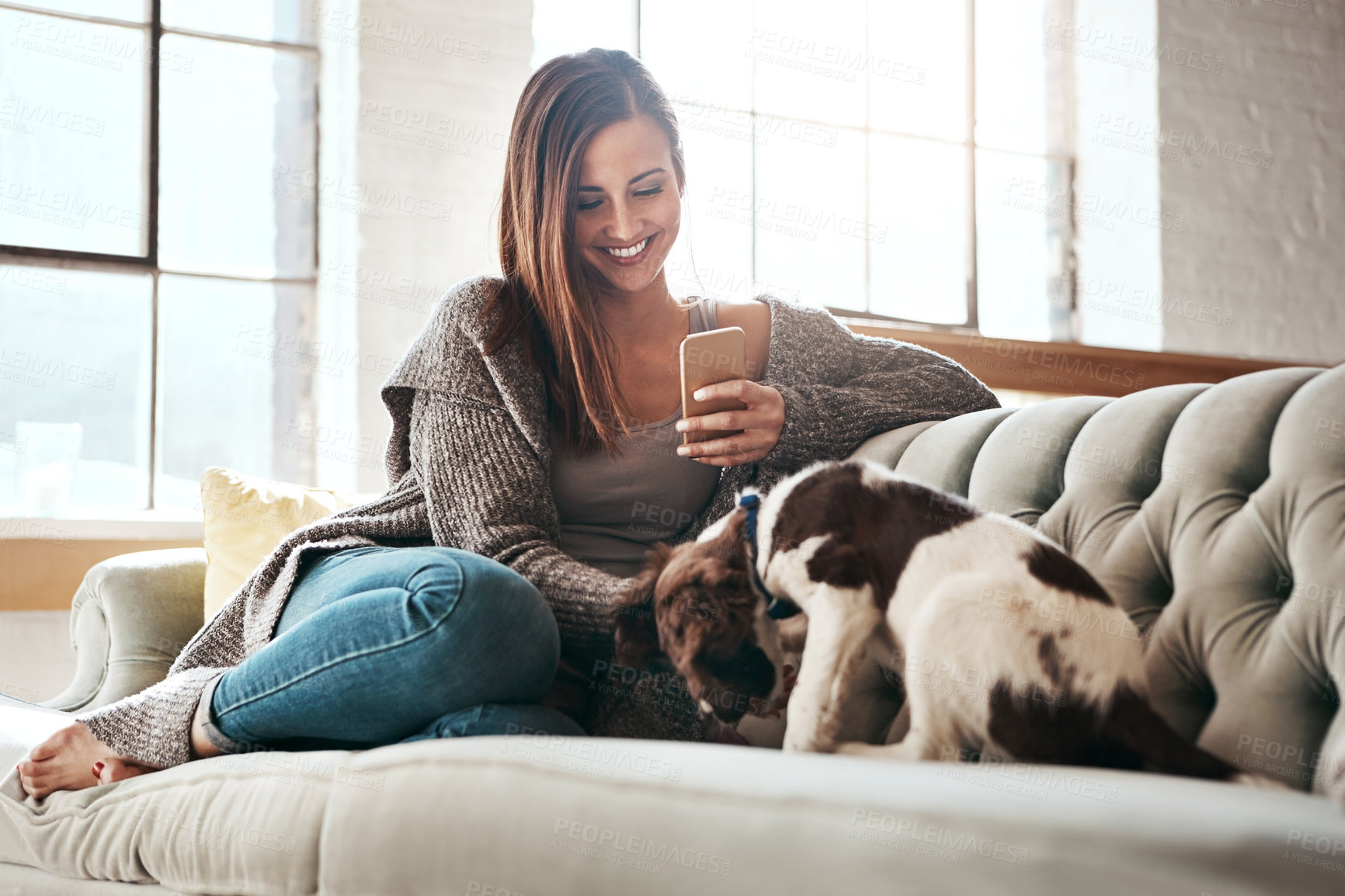 Buy stock photo Phone, relax and woman with dog on sofa at home for social media, network and communication. Happy, female person and tech with pet in living room for bonding, connectivity and reading text message