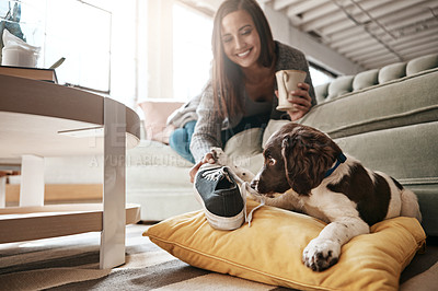 Buy stock photo Lounge, playing and woman with dog, house and smile for bonding of animal, love and care in morning. Home, girl and shoe for pet, relax and peace in living room of apartment, calm and together