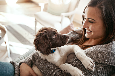 Buy stock photo Puppy, happy and woman at home on a living room couch with animal bonding with care. Pet love, dog and person with happiness at home with a smile from dogs on a lounge sofa together feeling calm