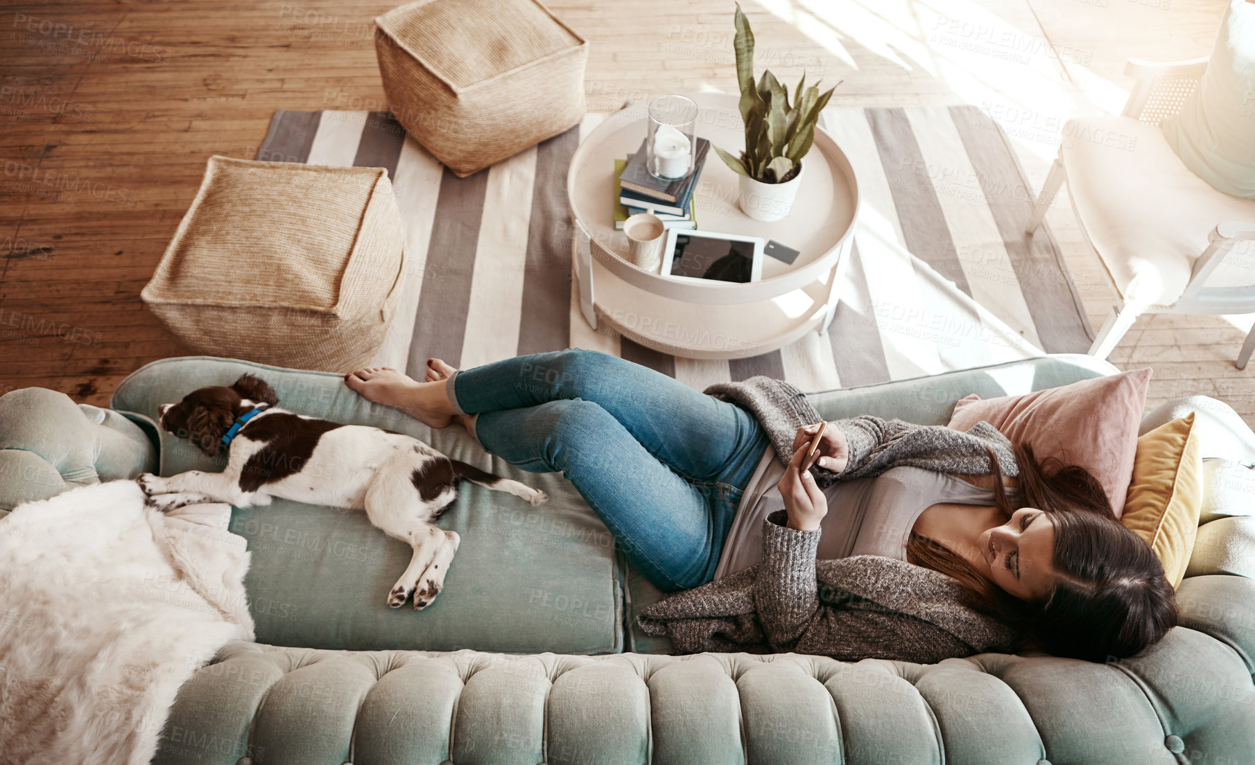 Buy stock photo Above, relax and a woman with a phone on the sofa for social media and communication with a dog. Happy, connectivity and a girl on the couch with a mobile app for conversation and chat with a pet