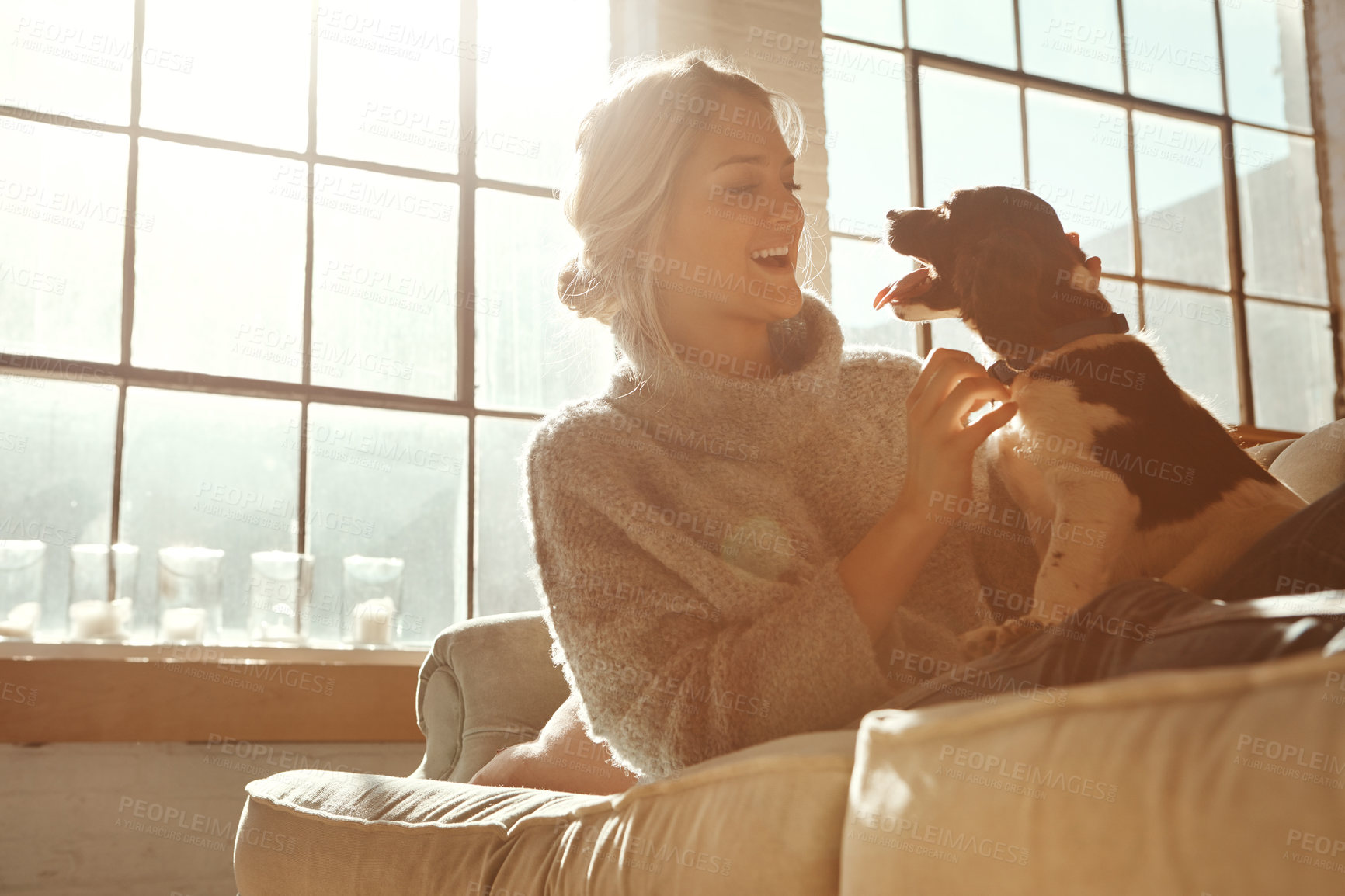 Buy stock photo Woman, dog and on couch in living room, happiness and sunshine with girl, happiness and bonding at home. Female, lady and pet on sofa in lounge, relax and weekend on break, happy or sunlight in house