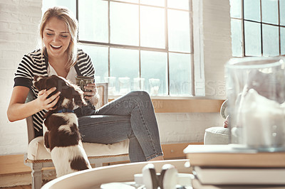 Buy stock photo Dog, playing or happy woman in lounge to relax on living room sofa in house, home or apartment. English spaniel puppy, lifting or person with love, wellness or support for bonding with fun pet animal