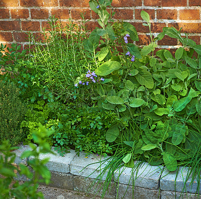 Buy stock photo A series of beautiful garden photos