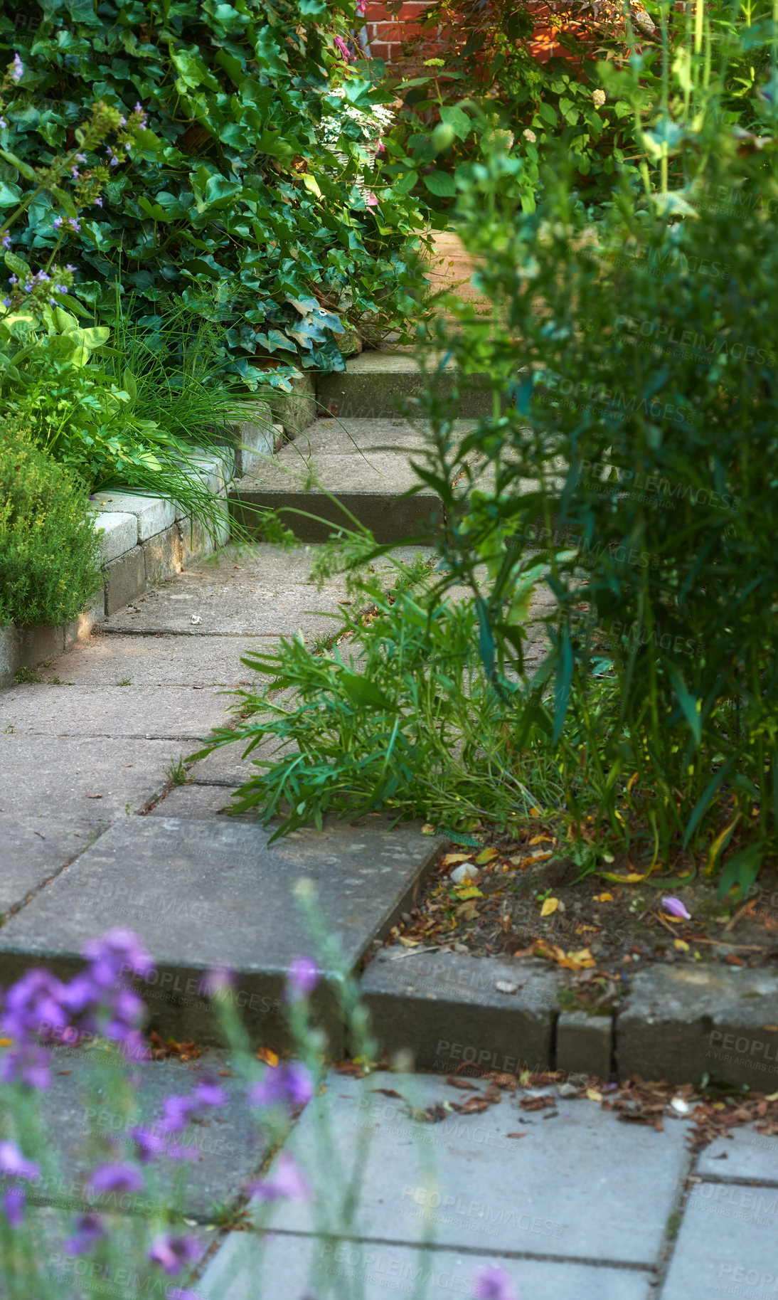 Buy stock photo A series of beautiful garden photos