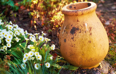 Buy stock photo A series of beautiful garden photos