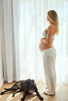 Buy stock photo Shot of a pregnant woman standing next to her dog