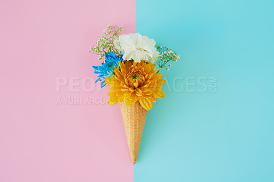 Buy stock photo Shot of a cone stuffed with flowers against a colorful background