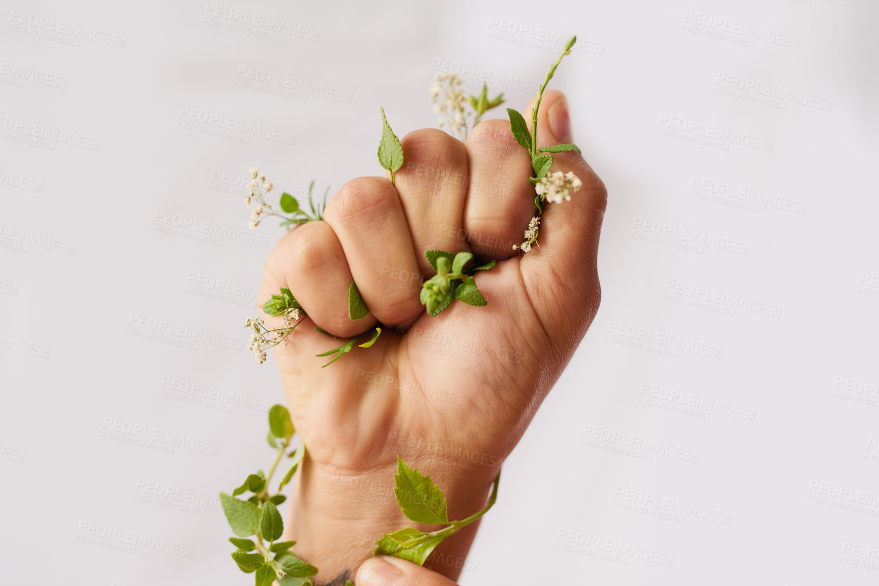 Buy stock photo Hand, nature growth and holding fist for eco warrior, fight and revolution for sustainability protest. White background, studio and person with leaf and green plant in hands for environment rally