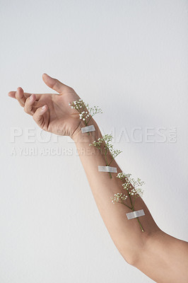 Buy stock photo Cropped shot of plants taped to an unrecognizable person's raised arm