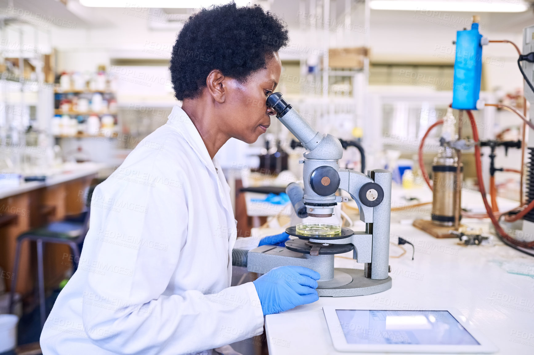 Buy stock photo Shot of a female scientist using a microscope in a lab