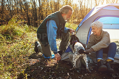 Buy stock photo Shot of a senior couple camping together in the wilderness with their dog