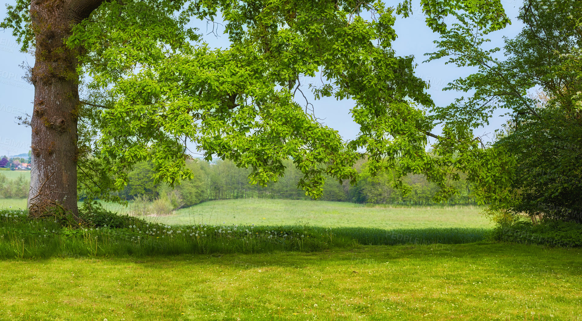 Buy stock photo Images from the Kingdom of Denmark