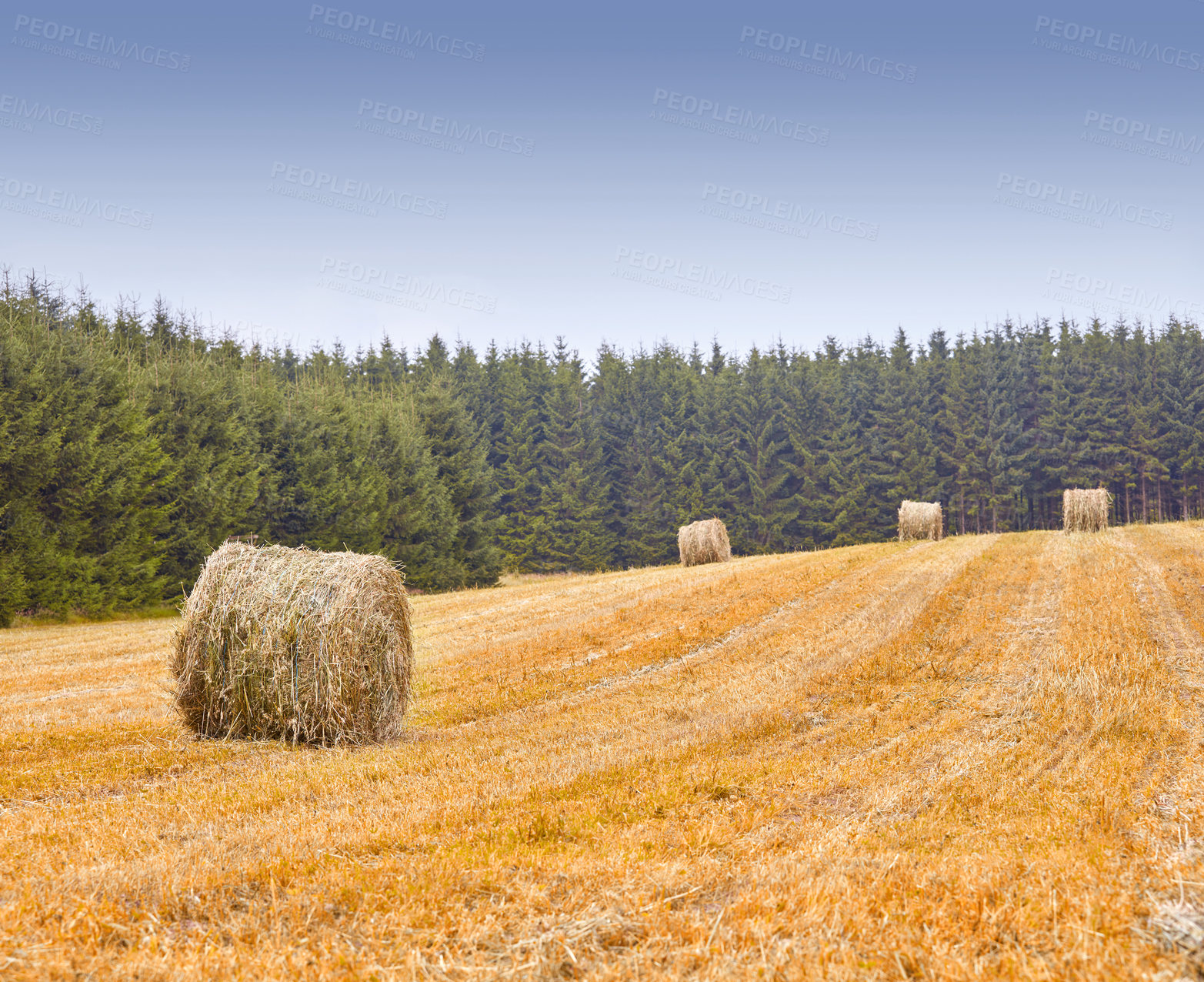 Buy stock photo Farm, agriculture and landscape, nature and hay bales with environment and farming location in Denmark. Fresh air, harvest and countryside with destination and straw field outdoor with farmland