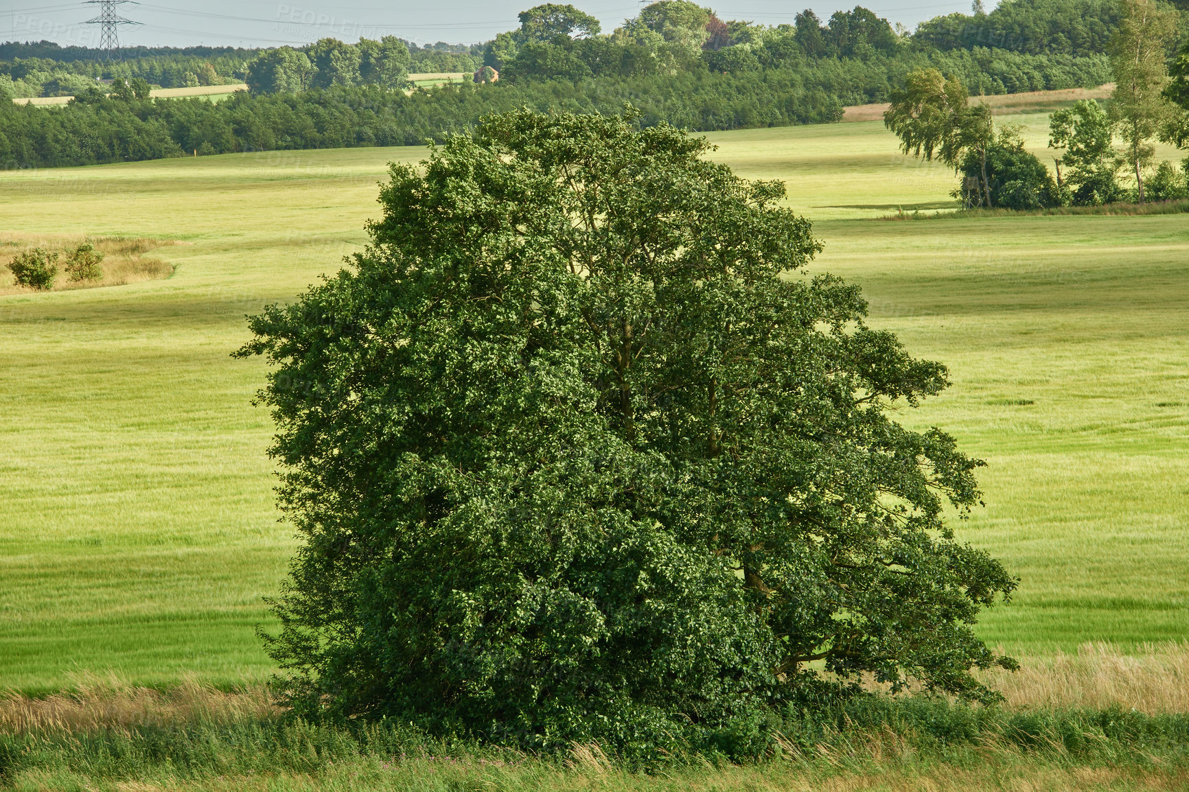 Buy stock photo Images from the Kingdom of Denmark