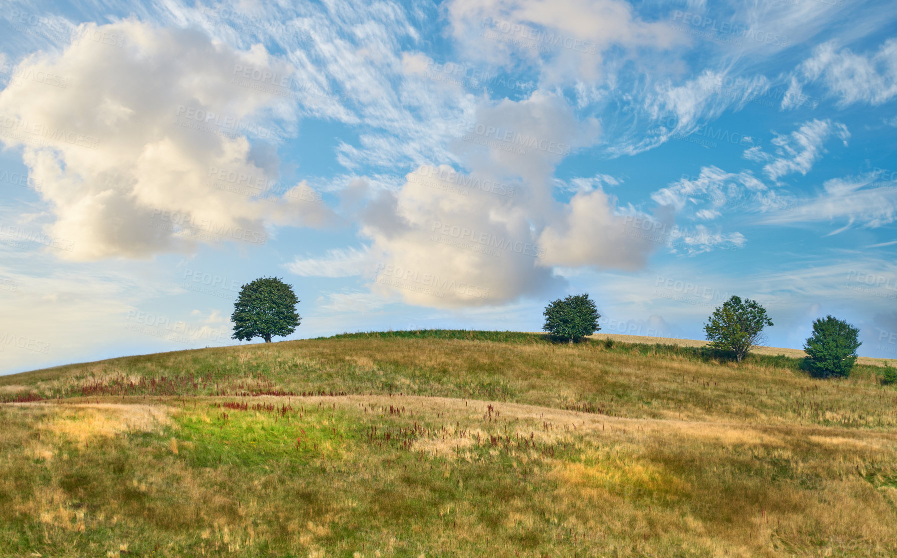 Buy stock photo Images from the Kingdom of Denmark